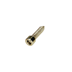 Hex Socket Self-Tapping Screw, Barrel Head