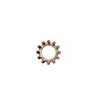 External Lock Washer