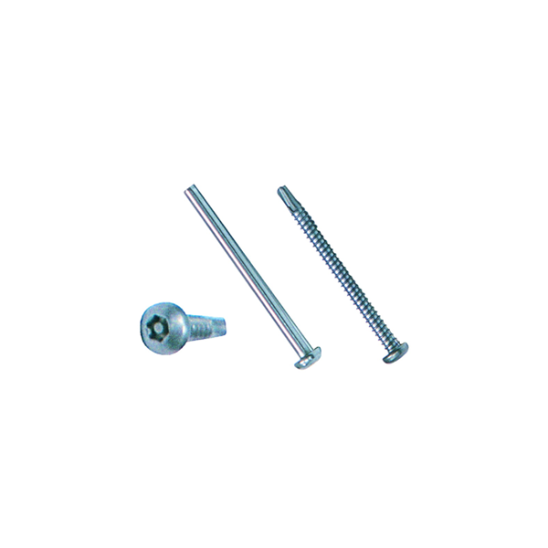 Tamper-Resistant Screw