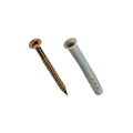 Hammer Drive Anchor / Expansion Screw