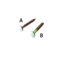 Decorative Screw Series