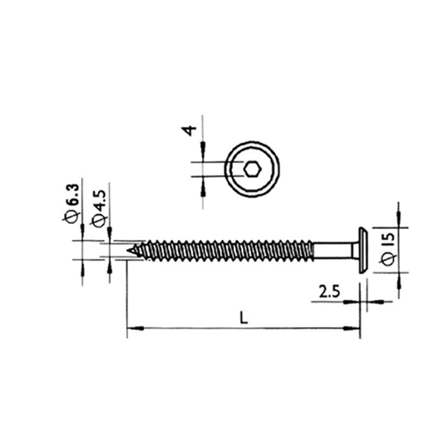Chamfered Hexagon Socket Self-Tapping Screw