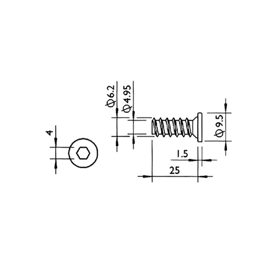 Low Head Hexagon Socket Self-Tapping Screw
