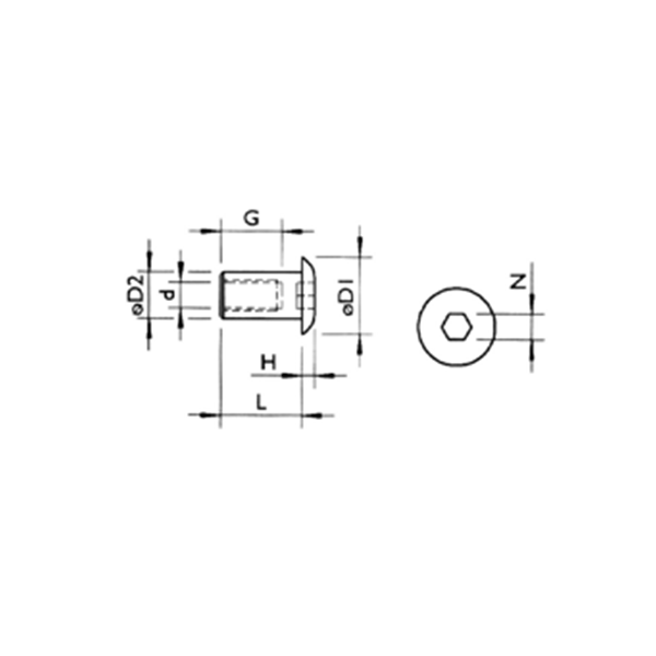 Hex Socket Pan Head T-Nut