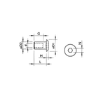 Hex Socket Pan Head T-Nut