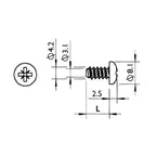 Pan Cross Recessed Self-Tapping Screw