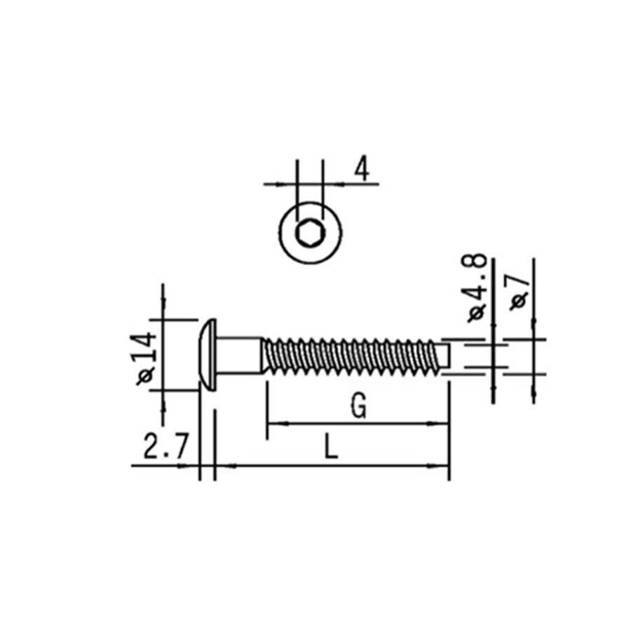 Large Low-Profile Hex Socket Self-Tapping Screw