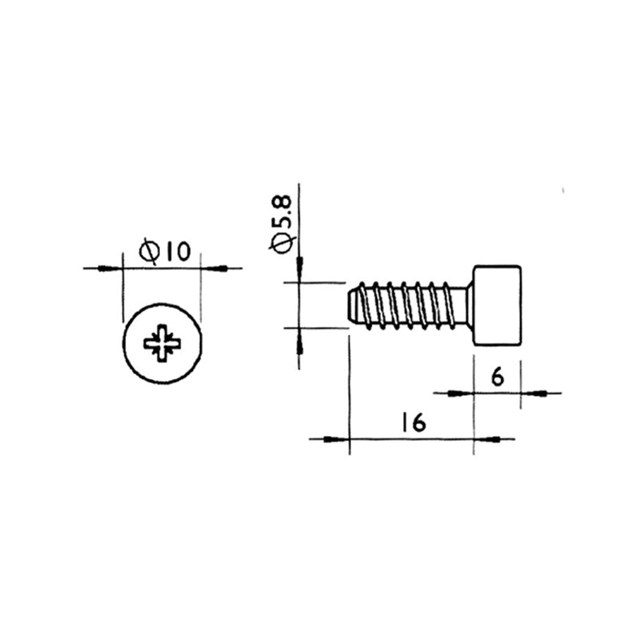 Shelf Support Screw
