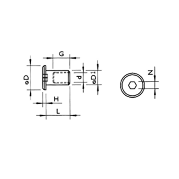 Hex Socket Flat Head T-Nut