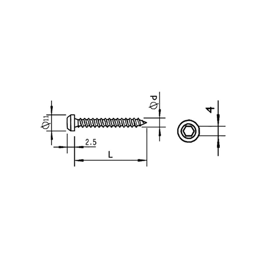 Flat Head Hex Socket Self-Tapping Screw
