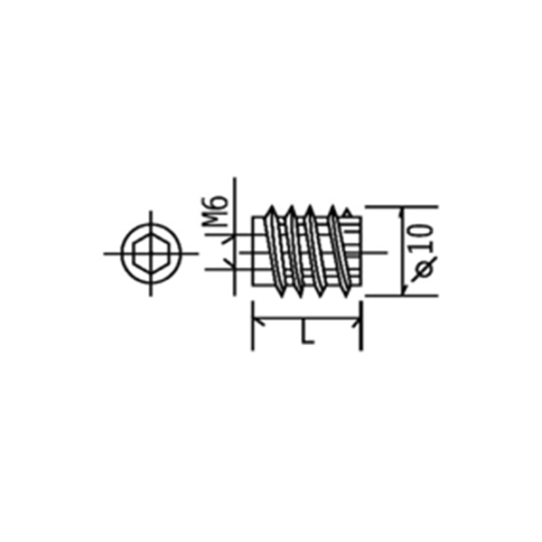 Hex Socket Embedded Nut SHX0031D Ø10 M6